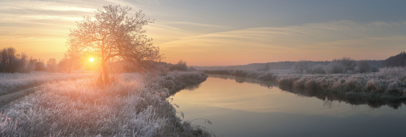 Winter view