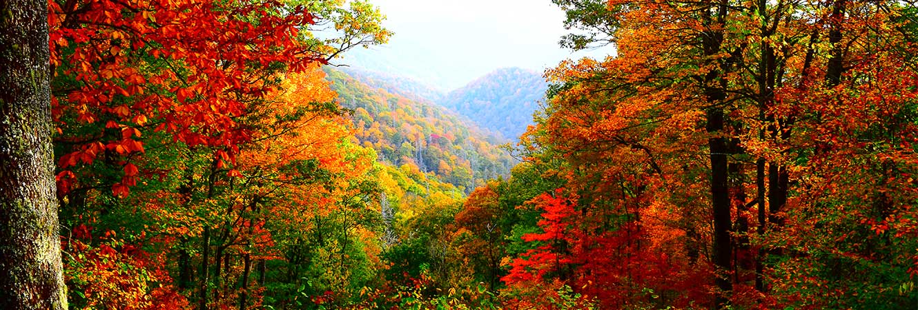 beautiful scenic of fall mountains