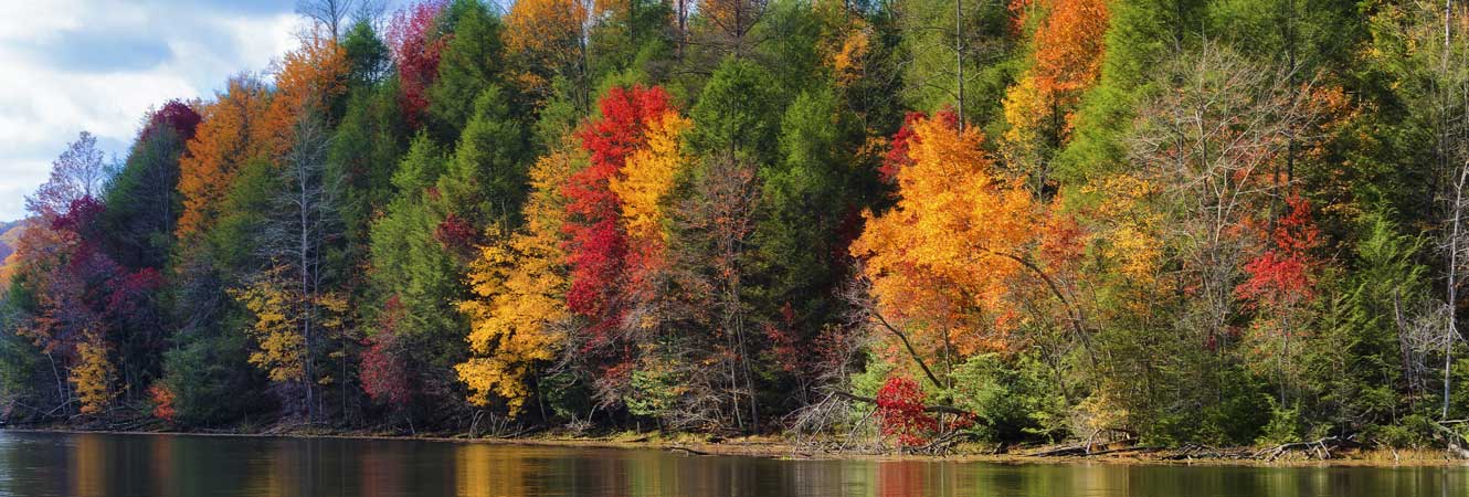 Kingsport fall lake scene